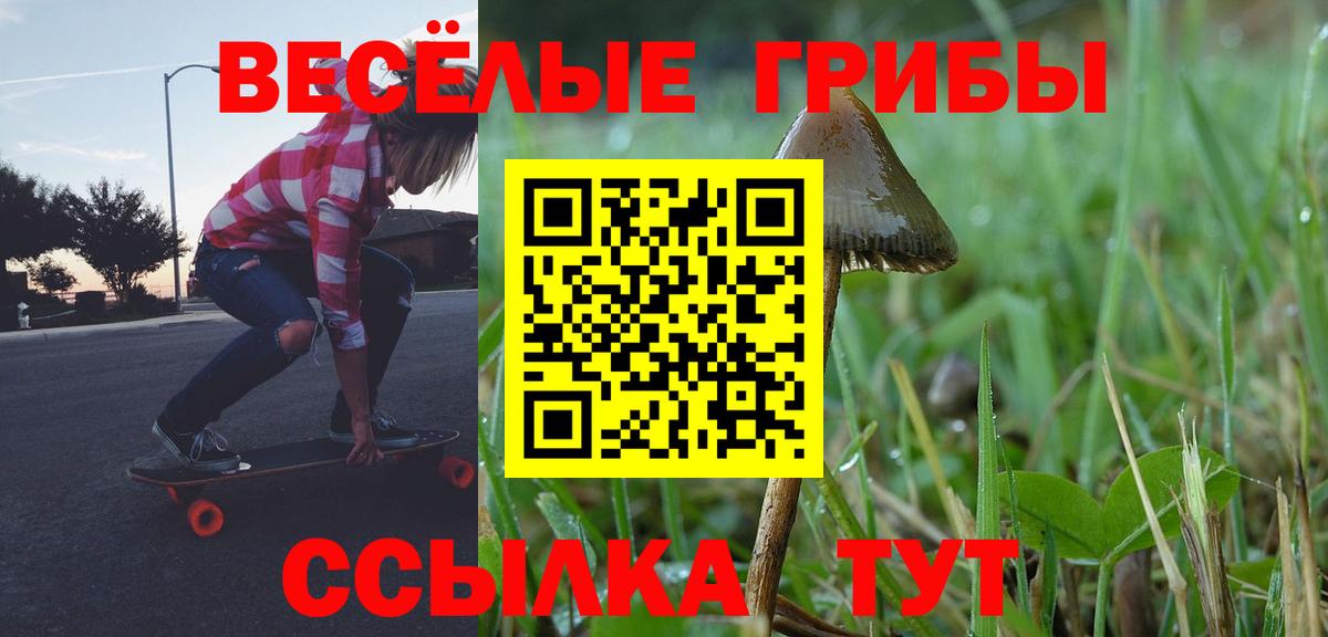Псилоцибиновые грибы Psilocybe Касимов